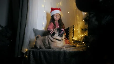 Little cute girl in santa hat giving a gift to a pug dog, sitting on the Stock Footage 166326864