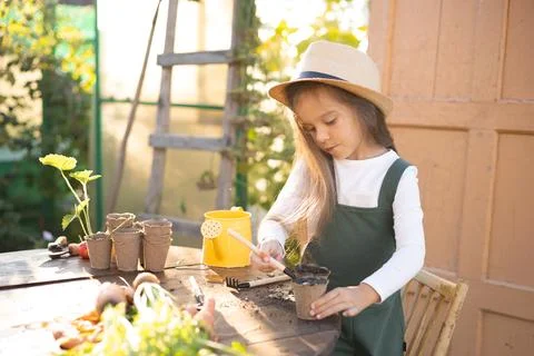 A little cute long-haired farmer girl is engaged in planting plants. Village Stock Photos