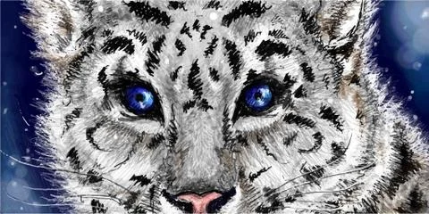 Little cute sketched snow leopard on navy blue background Stock Illustration