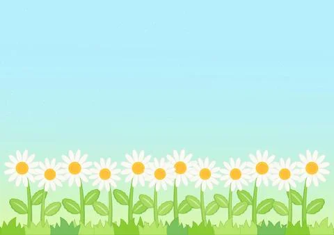 Little daisy field background Stock Illustration