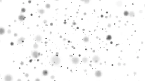 Little dark particles falling and flying on the white background. Wallpaper for Stock Footage 101209444