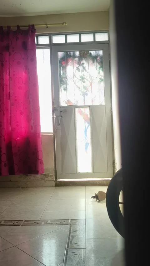 Little Dog Opens Front Door, Yotoco, Valle del Cauca, Colombia - 09 Dec 2025 Stock Footage 324515907