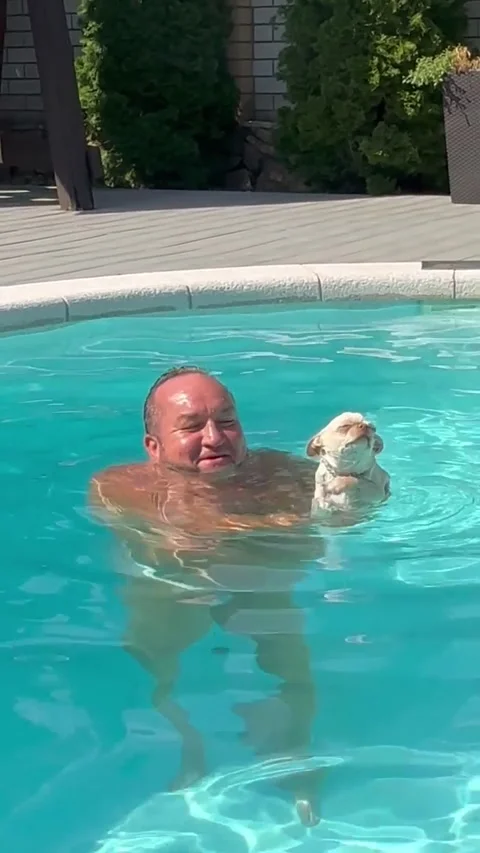 Little Dog Paddles While Held in Pool, Saratov, Russia - 03 Aug 2025 Video stock 314393678
