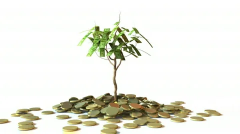 Little Dollar Tree Stock Footage 800827