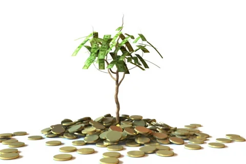 Little Dollar Tree Stock Footage 801630