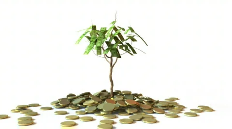 Little Dollar Tree Stock Footage 801685