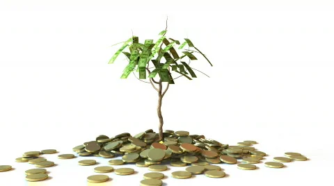 Little Dollar Tree Stock Footage 801751