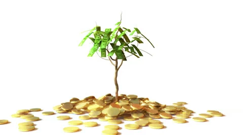 Little Dollar Tree Stock Footage 22500687