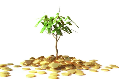 Little Dollar Tree Stock Footage 22500912