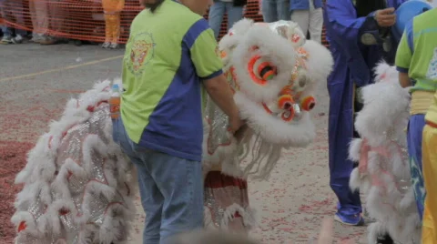 Little dragon dance Stock Footage 761527