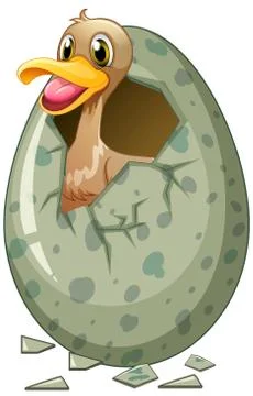 Little duck in eggshell Stock Illustration