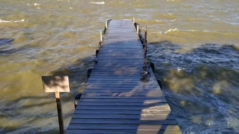 Little Ducks 库存影片 248289724