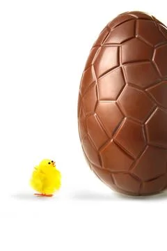 Little easter chick looking up at chocolate egg Stock Photos