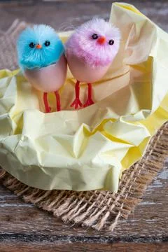 Little easter chicks copy space Stock Photos