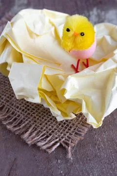 Little easter chicks copy space Stock Photos