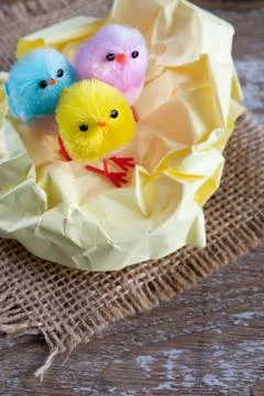 Little easter chicks copy space Stock Photos