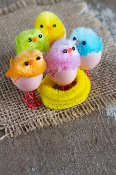 Little easter chicks copy space Foto stock