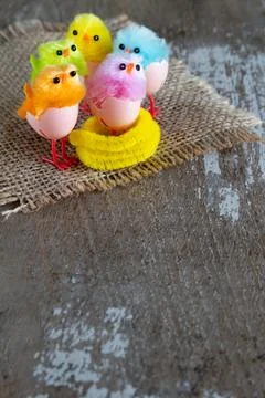 Little easter chicks copy space Foto stock