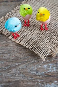Little easter chicks copy space Stock Photos