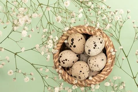 Little Easter eggs. Quail eggs in a basket. Easter background Stock Photos