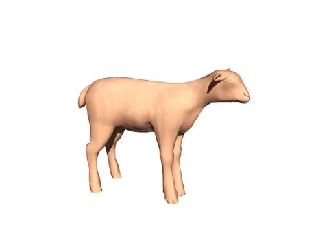 Little Easter lamb stands on pasture Stock Illustration