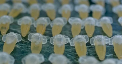 Little eppendorf is lines focus Stock Footage 111225228