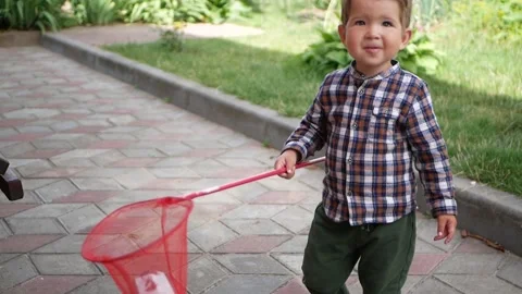 Little explorer with a butterfly net in his hands. Little happy smiling boy. Stock Footage 165722859