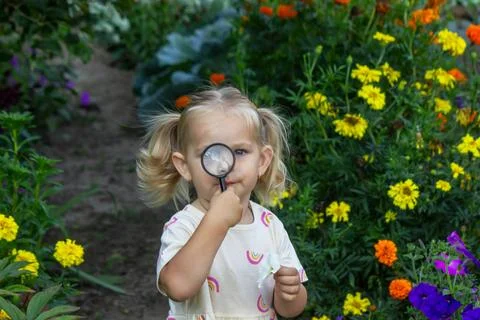 Little explorer looking through magnifying glass at green plants in summer .. Stock Photos