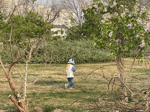 Little Explorer Walking Through a Spring Garden Stock Photos