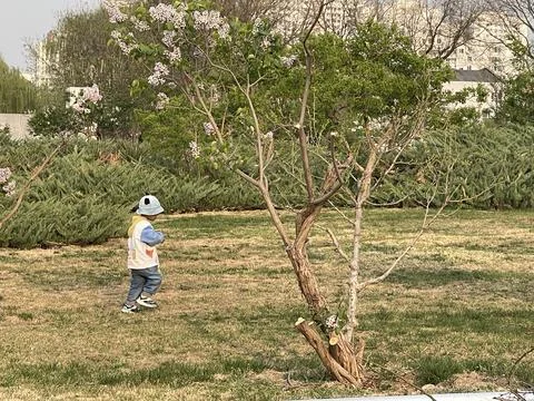 Little Explorer Walking Through a Spring Garden Stock Photos
