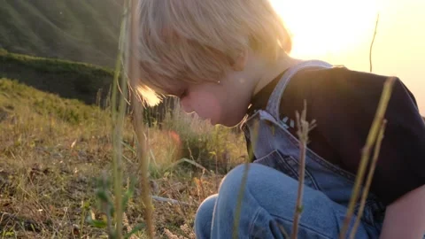 Little fair-haired boy. Kid plays on green grass at sunset. Stock Footage 250083304