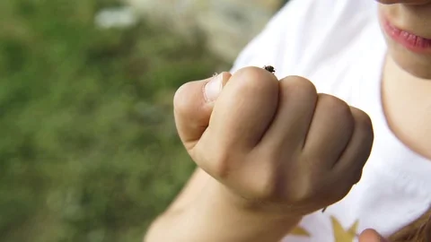 A little firebug on kids hands Stock Footage 76586946
