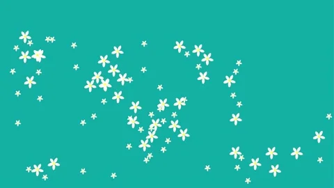 Little flowers effect background and 2d animation 스톡 동영상 218459725