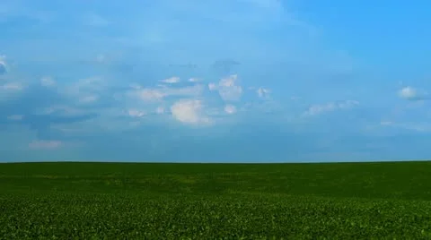 Little Fluffy Clouds Over a Soy Bean Field 2 HD Stock Footage 11428261