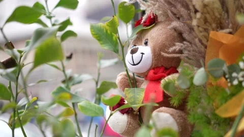 Little fluffy teddy bear behind the flower Stock Footage 176395972