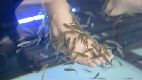 Little foot spa by a small fish  Stock Footage 73814830