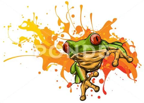 Cute frog Stock Photos, Royalty Free Cute frog Images