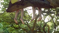 A Little Girl And Boy Sit In A Tree And Swing Their Feet Stock Footage