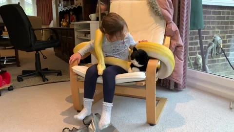 Little Girl and Python are Pals, London, England, UK - 01 Mar 2019 Stockbeeldmateriaal 205354458