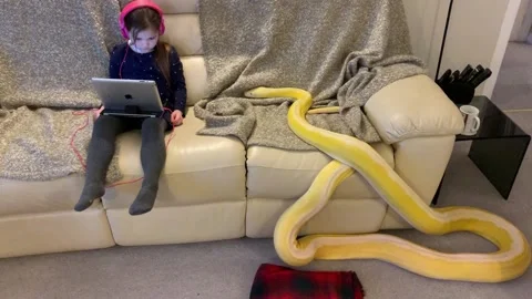 Little Girl and Python Lounge on Couch, uk Stockbeeldmateriaal 205358025