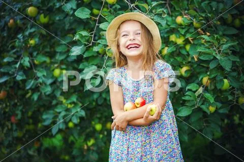 Little girl in the apple garden Stock-Fotos