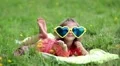 Little girl in big sun glasses in the shape of hearts lies on the lawn HD Footage