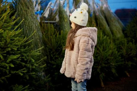 Little girl choosing christmas tree at market Stock Photos