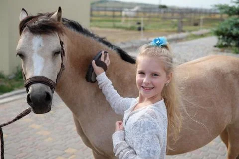 Little girl cleans and combs her pony and saddles him Stock Photos