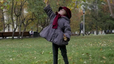 Little girl collects autumn foliage in the park Stock Footage