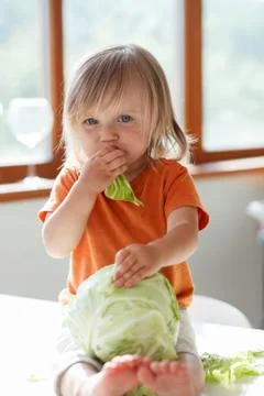 Little girl eats cabbage Stock Photos
