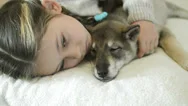 Little Girl Falls Asleep Hugging A Sleeping Puppy Stock Footage