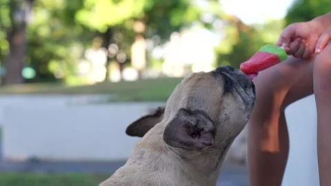 https://images.pond5.com/little-girl-feeding-popsicle-her-footage-246626575_iconl.jpeg