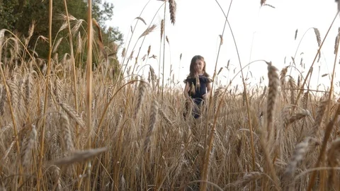 Little girl! Stock Footage 113276941