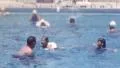 Little Girl Learning To Swim in Public Pool 1950s Vintage Film Home Movie 1kzr HD Footage